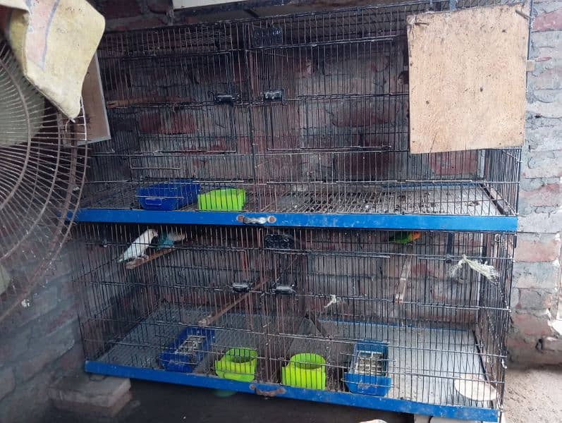 lovebirds folding cages 4