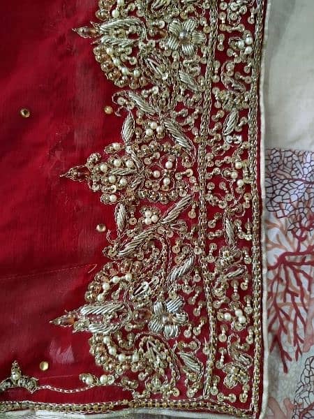 Tail Lehenga for bride 16