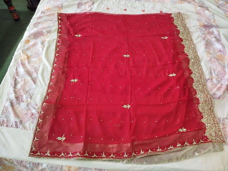 Tail Lehenga for bride 18