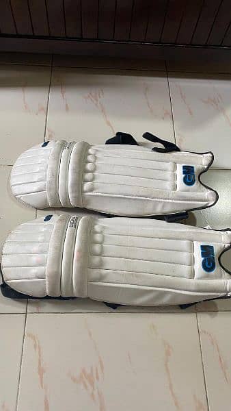 Cricket Hard ball kit with bag only 10 thousand rupees 3