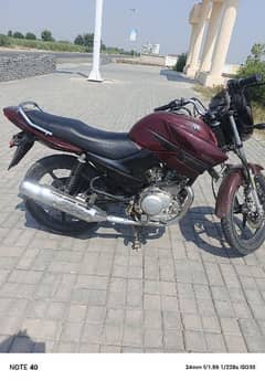 Yamaha ybr125