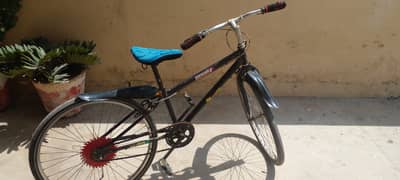 Perfect Bicycle for Every one