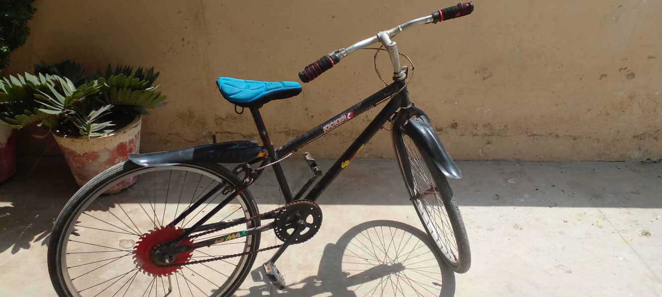 Perfect Bicycle for Every one 0