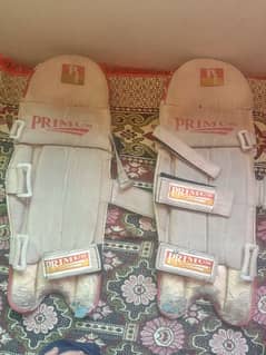 used cricket pad sale