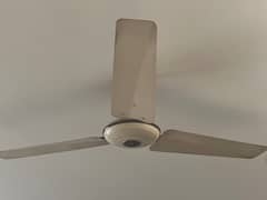 Ceiling Pak Fans