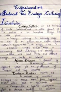 handwriting assignment work 0