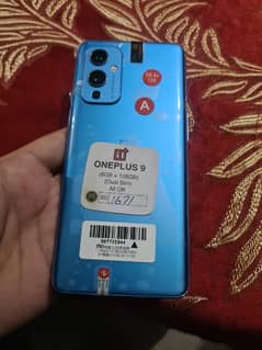 oneplus