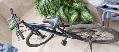 Bicycle for sale