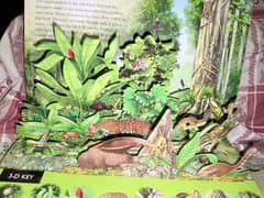 3D book for Rain Forest knowledge with free book included 0