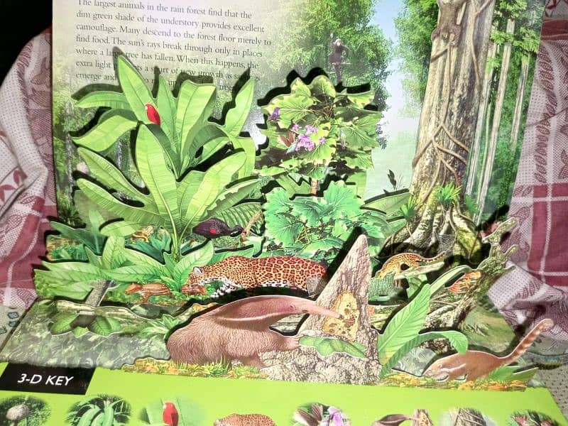 3D book for Rain Forest knowledge with free book included 0