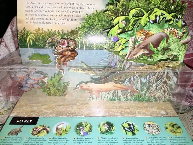 3D book for Rain Forest knowledge with free book included 1