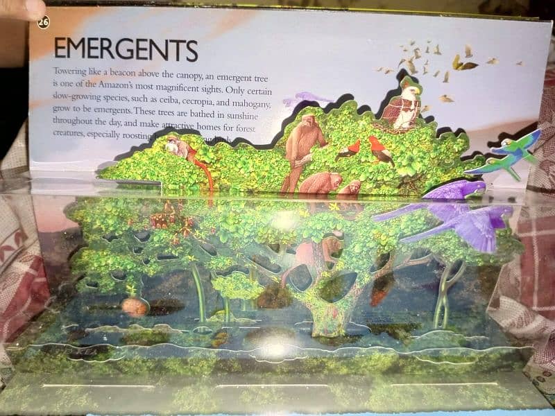 3D book for Rain Forest knowledge with free book included 2