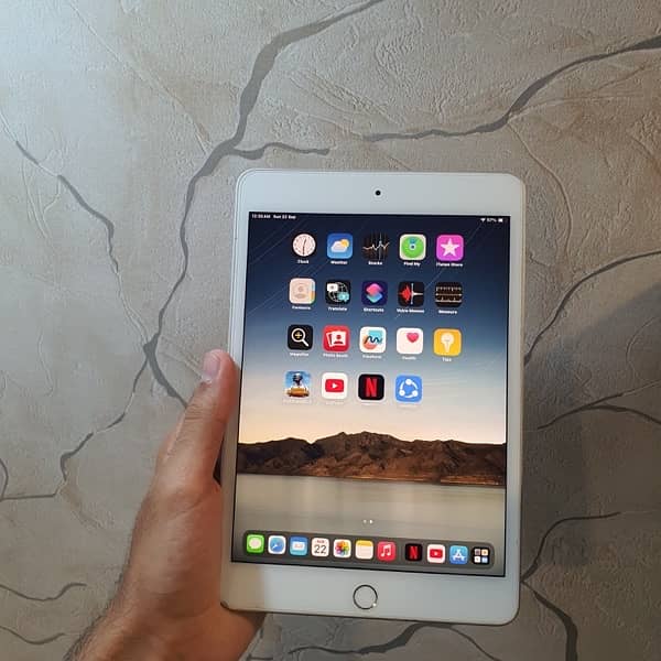 iPad Mini 5 (64GB) 3