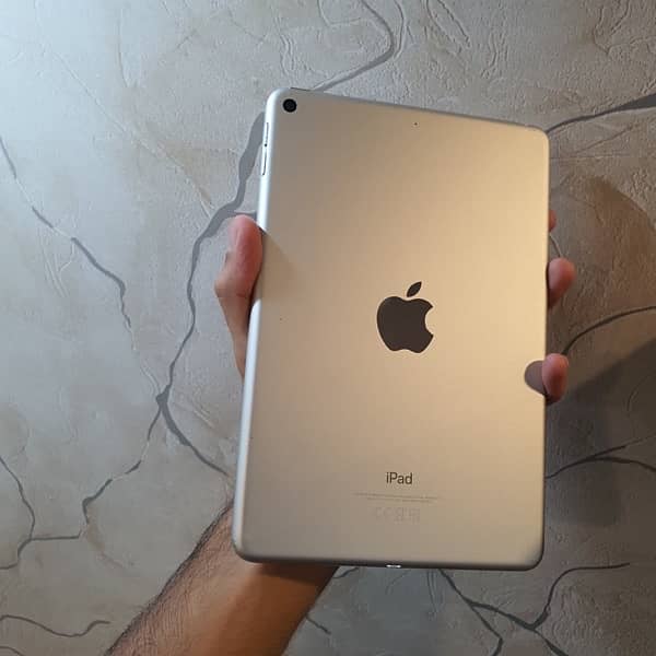 iPad Mini 5 (64GB) 10