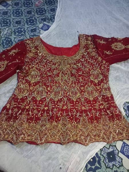 Ladies Formal | Lehenga For Sale (NEW ARTICLE) 6