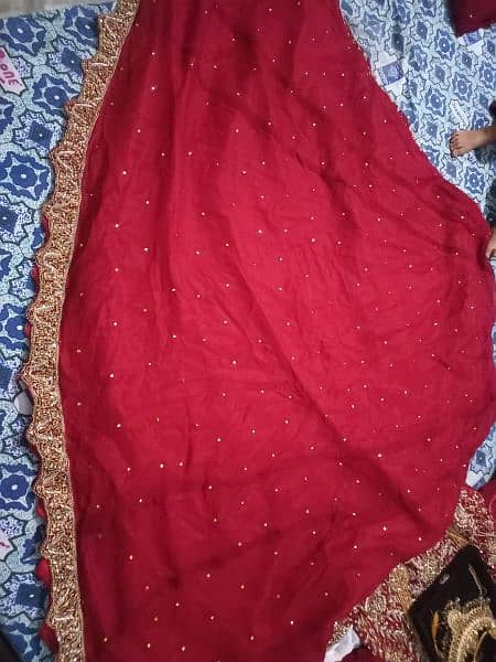 Ladies Formal | Lehenga For Sale (NEW ARTICLE) 9