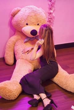 Teddy Bear