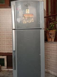 fridge