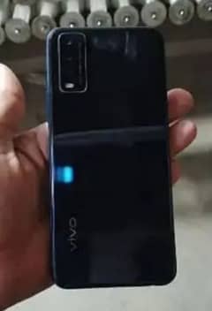 vivo