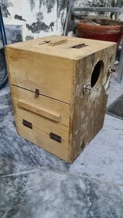 cockatiel breeding Box