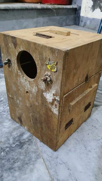 cockatiel breeding Box 1