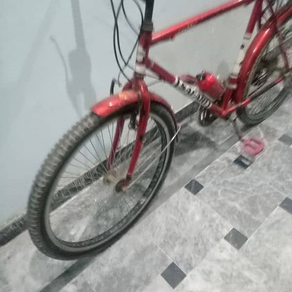 Cycle for Sale 2