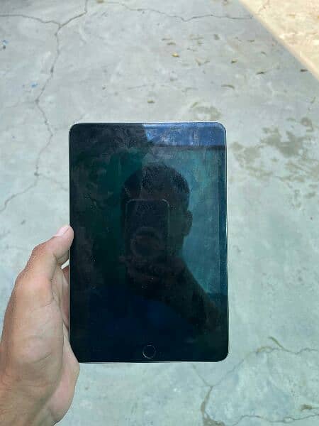 I pad mini 5 0