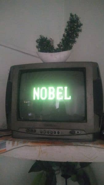 Nobel colour tv 14" 1