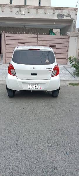 Rent a Cat, Yaris, Altis, City, Cultus, Alto 7