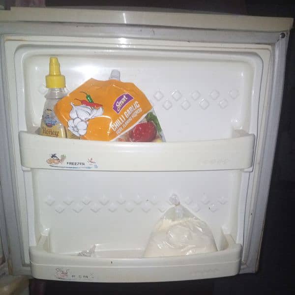 Pell fridge 1