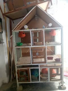 Hen Cages 4