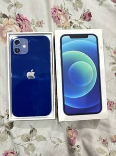 PTA approved iphone 12 Blue 0