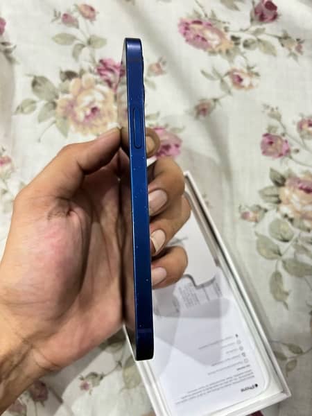 PTA approved iphone 12 Blue 4