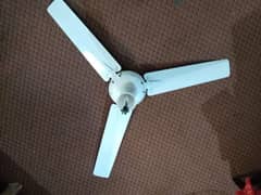 Ceiling fan superb condition 0