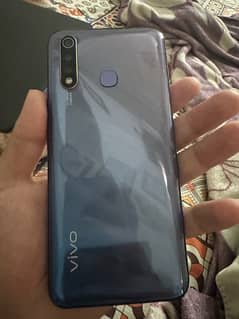 vivo