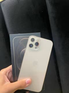 i phone 12 pro max pta approved