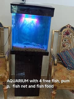 AQUARIUM with 4 free fish, pump, fish net and fish food