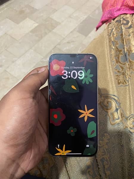 iPhone 12 Pro Max 128gb 1