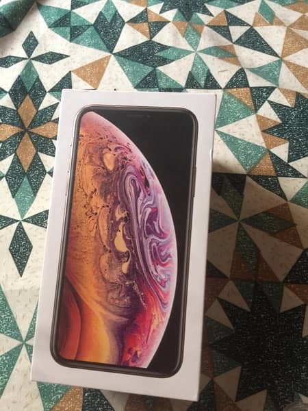 IPhone XS 256 GB factory unlock 10