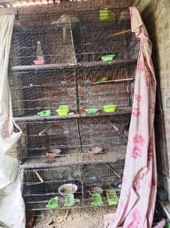 8 portion cage for sale