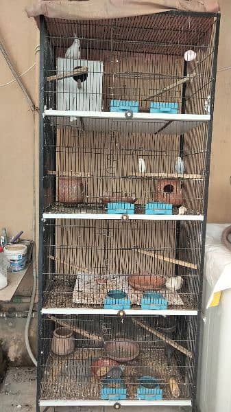 Birds Cage Iron Material Just Like New 2