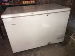 Haier d freezers