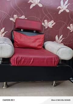 pair of sofa