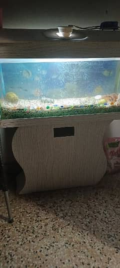 fish aquarium complete with oxygen moter