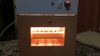 fully automatic incubator for 50 eggs