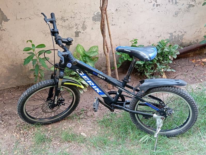 bicycle for Sale 1