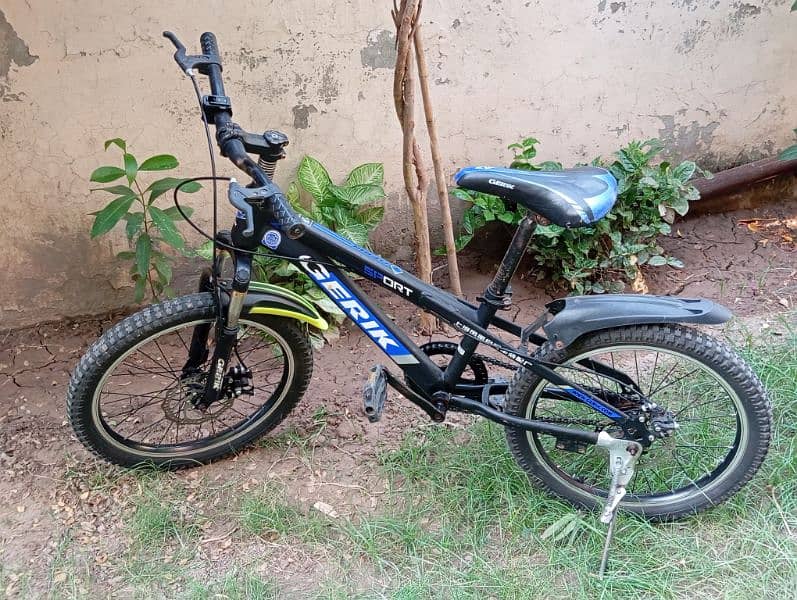 bicycle for Sale 2