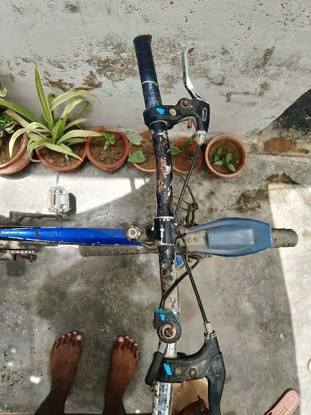 cycle for sale 1