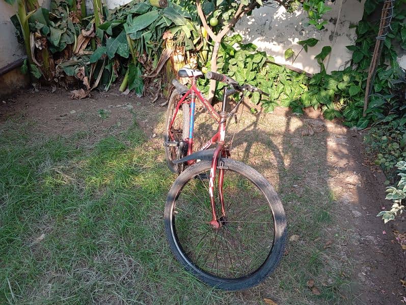 bicycle for sale 1