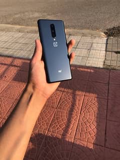 oneplus 8 5g